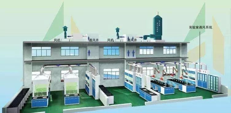 1601346031905336.jpg 24.jpg